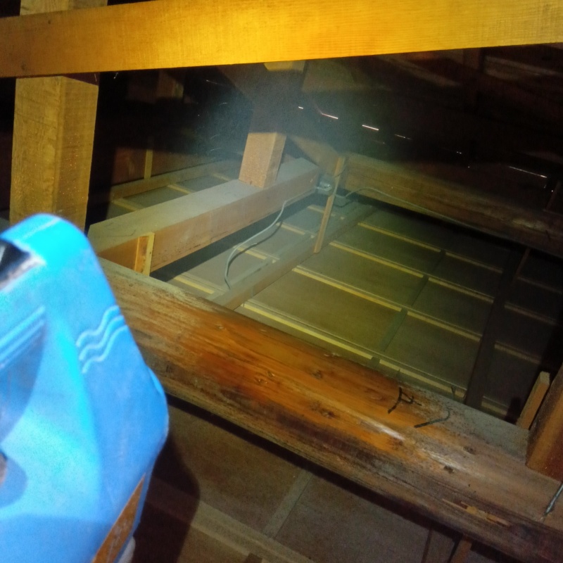 噴霧器で薬剤を散布