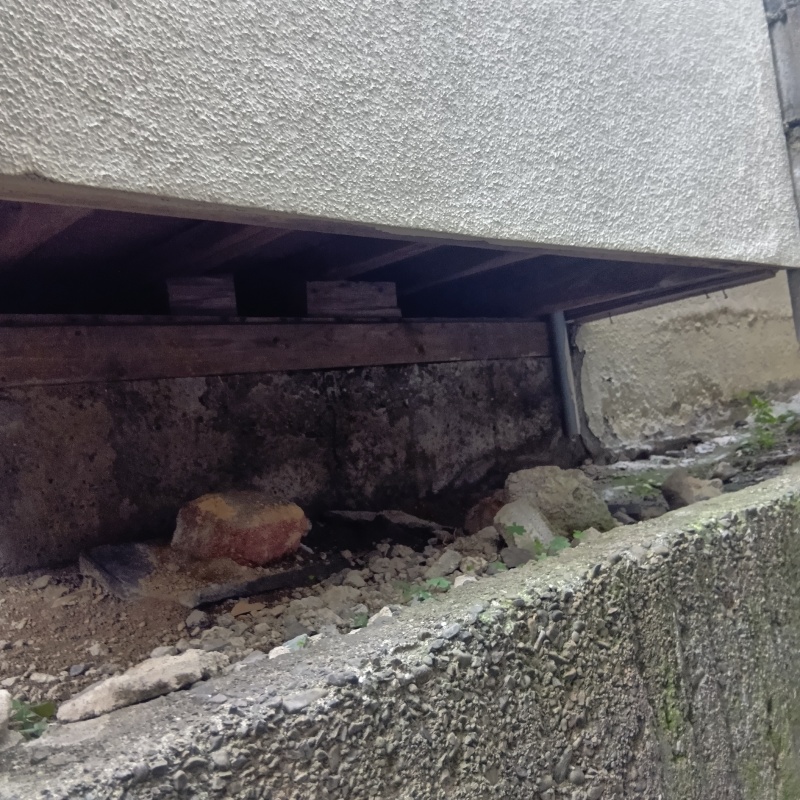 ハクビシン駆除の施工事例（愛媛県松山市紅葉町）