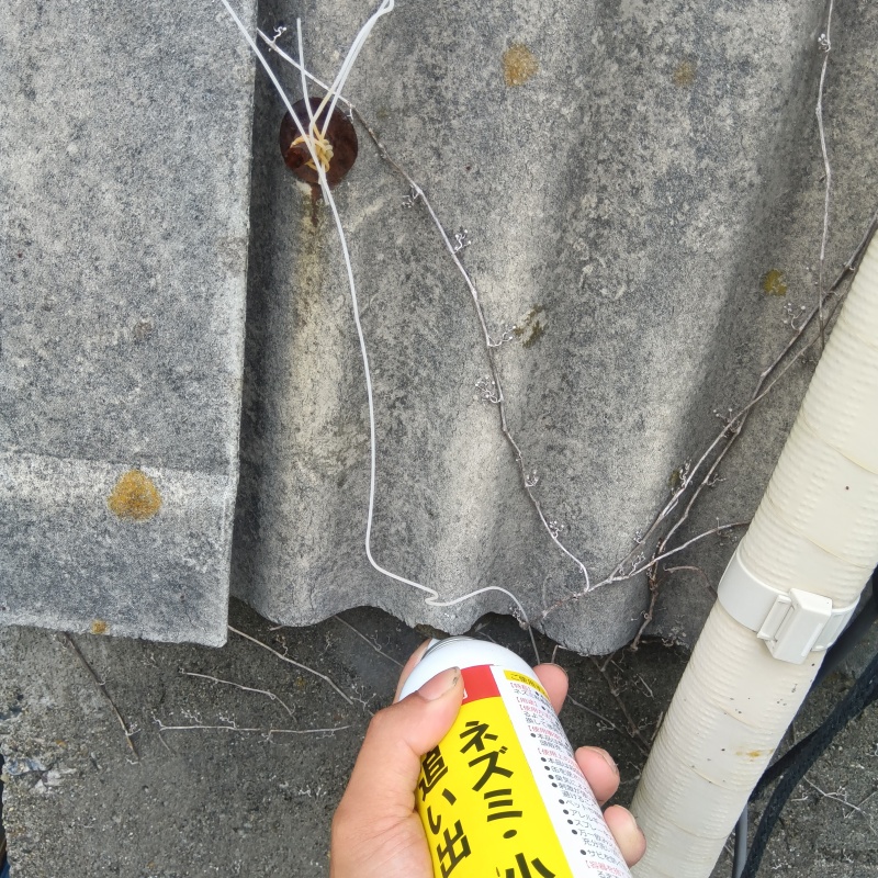 外壁の下から忌避スプレーを散布