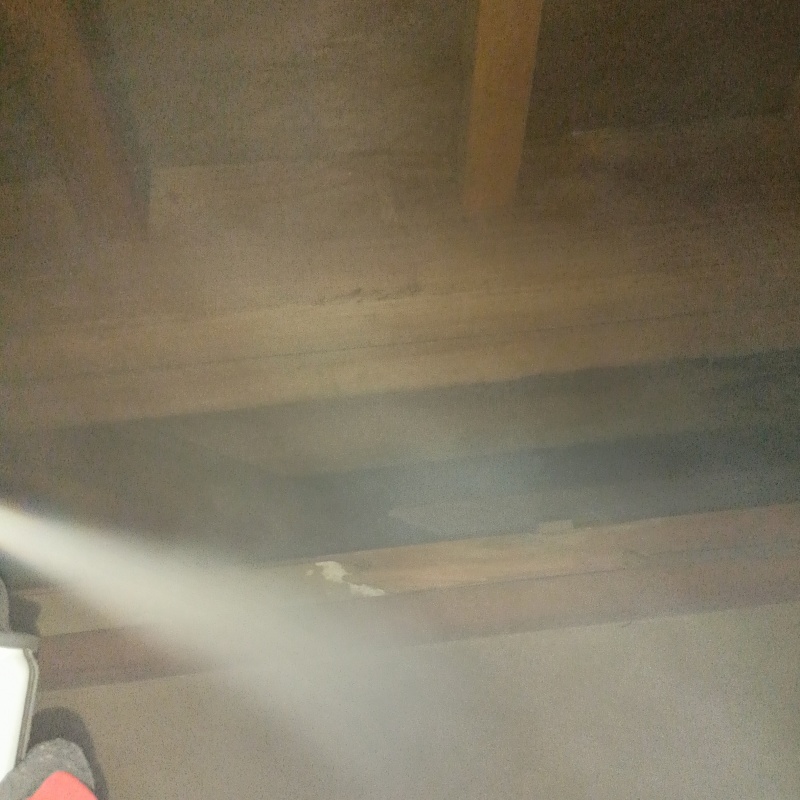 忌避スプレーを散布