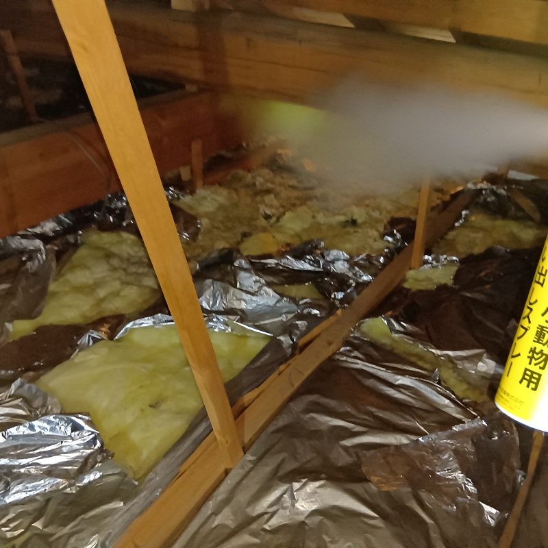 屋根裏に忌避スプレーを散布