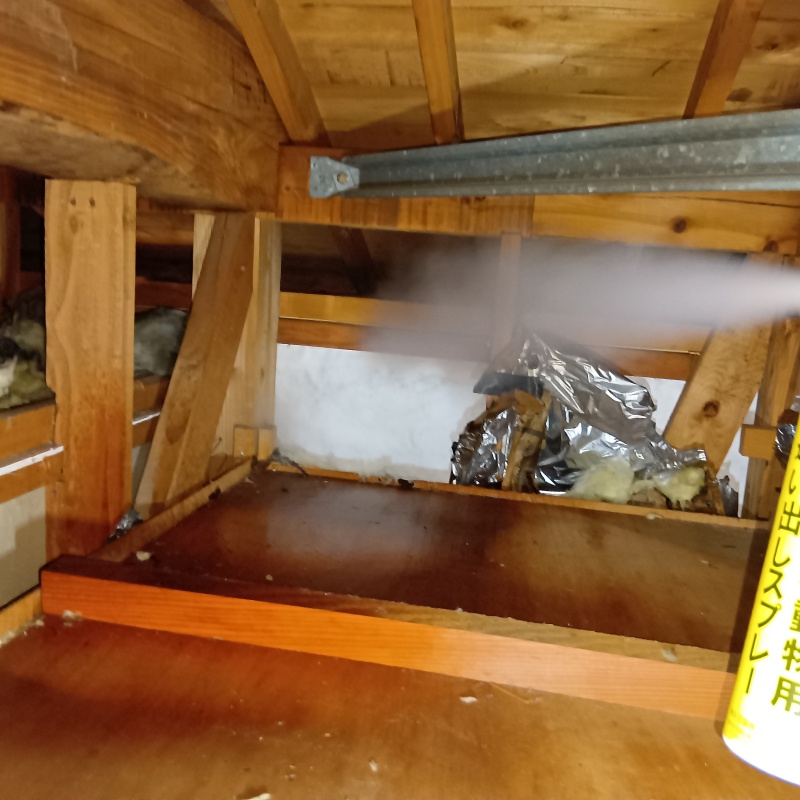 屋根裏に忌避スプレーを散布
