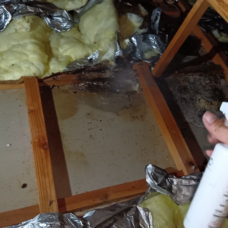 除菌剤をスプレー