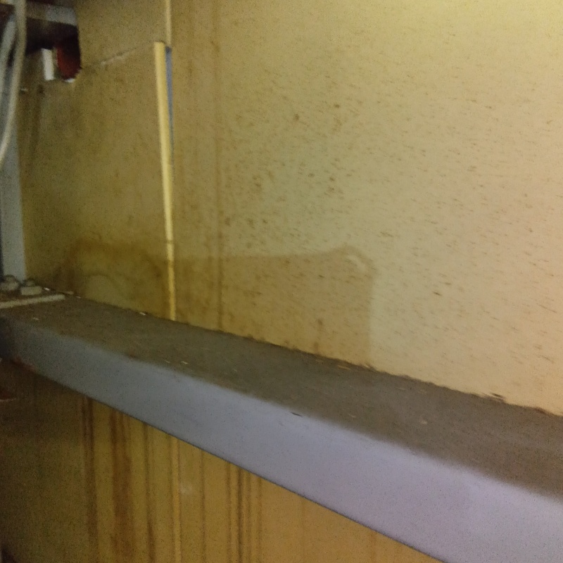 フンを片付けた様子