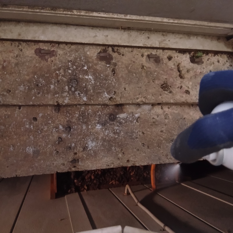 忌避スプレーを散布