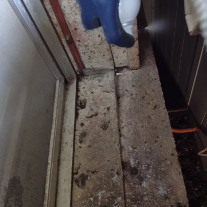 忌避スプレーを散布