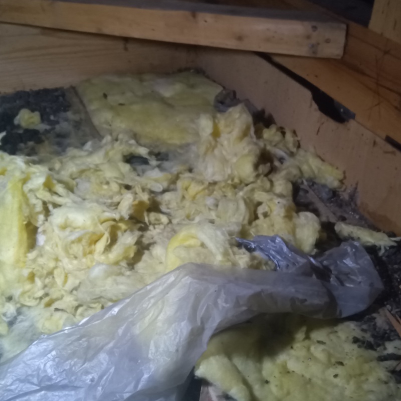 イタチ駆除の施工事例（岡山県真庭市蒜山上長田）