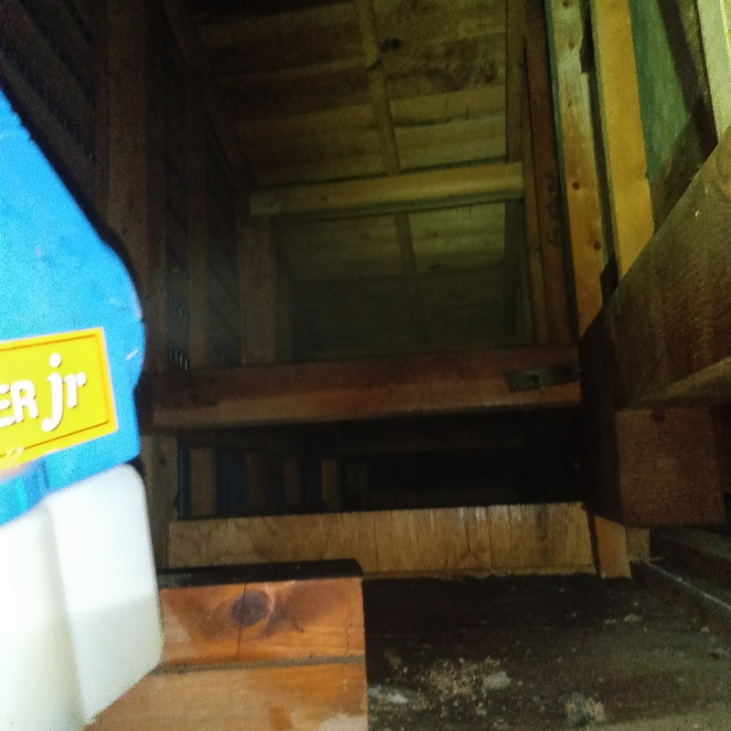 噴霧器で薬剤を散布