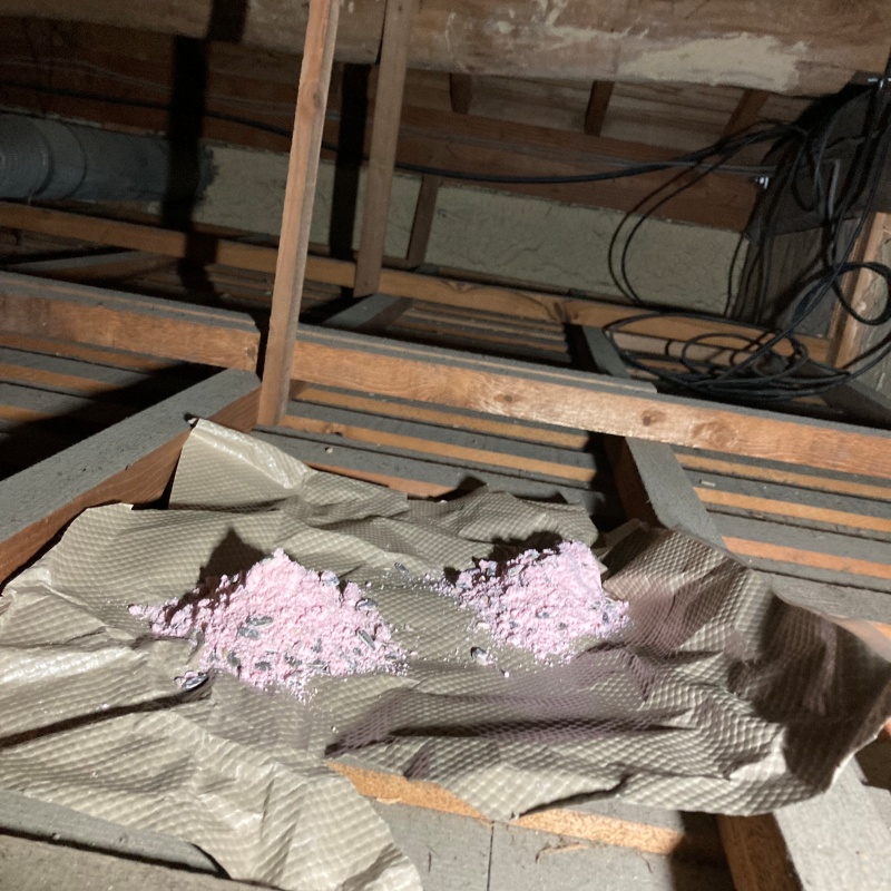 殺鼠剤を設置した様子