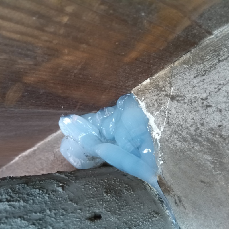 外壁と天井の間のすき間をパテで封鎖