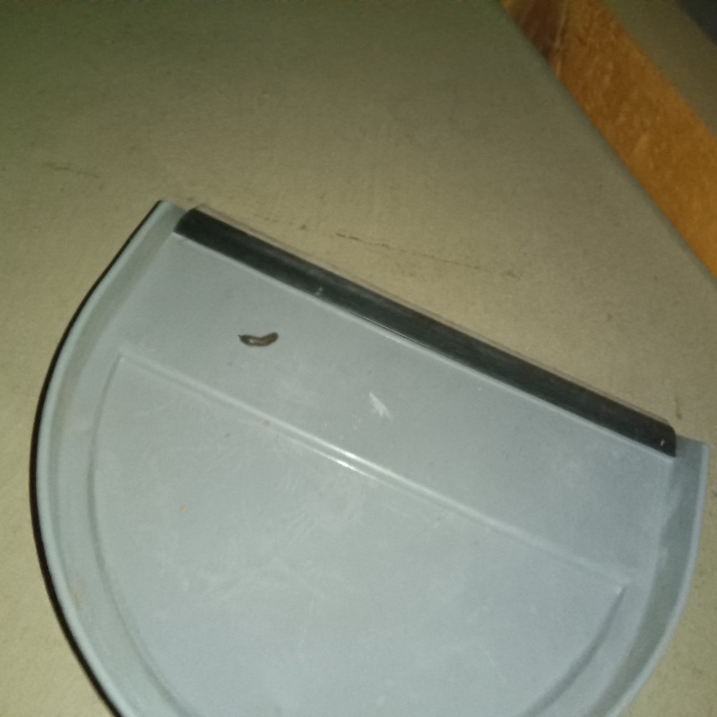 フン害清掃の様子