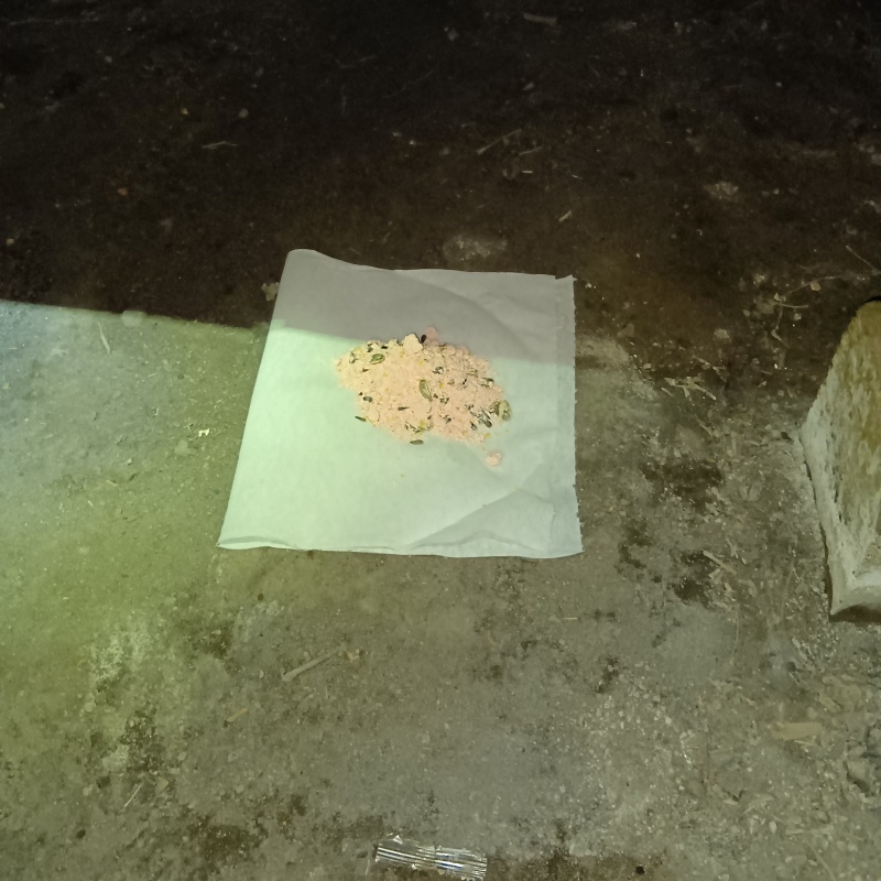 床下に殺鼠剤を設置した様子