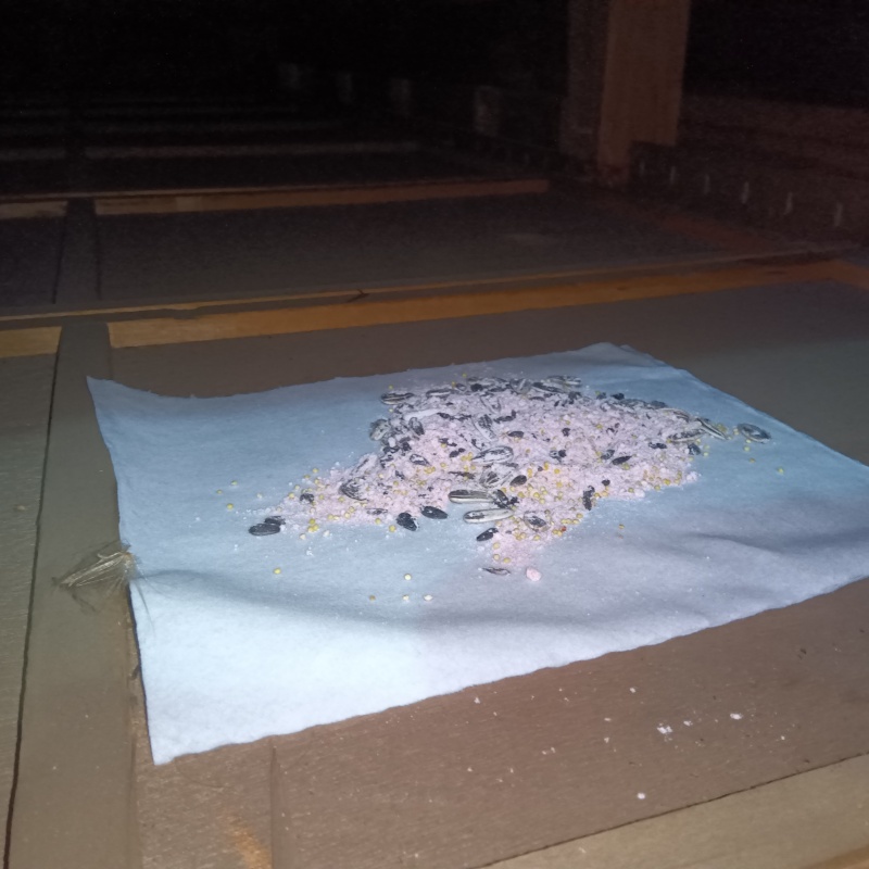 屋根裏に殺鼠剤を設置した様子