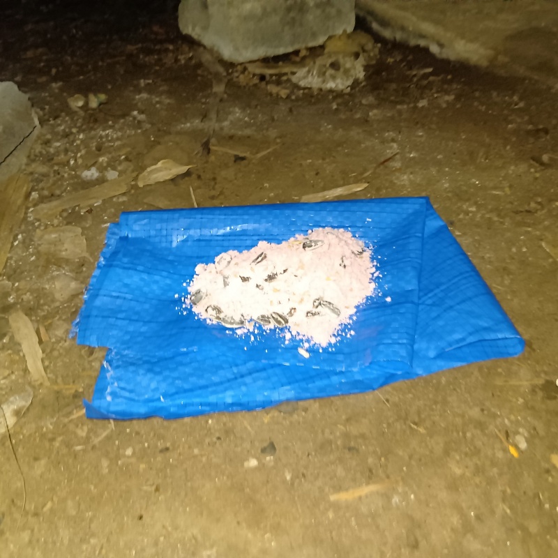 殺鼠剤を設置した様子