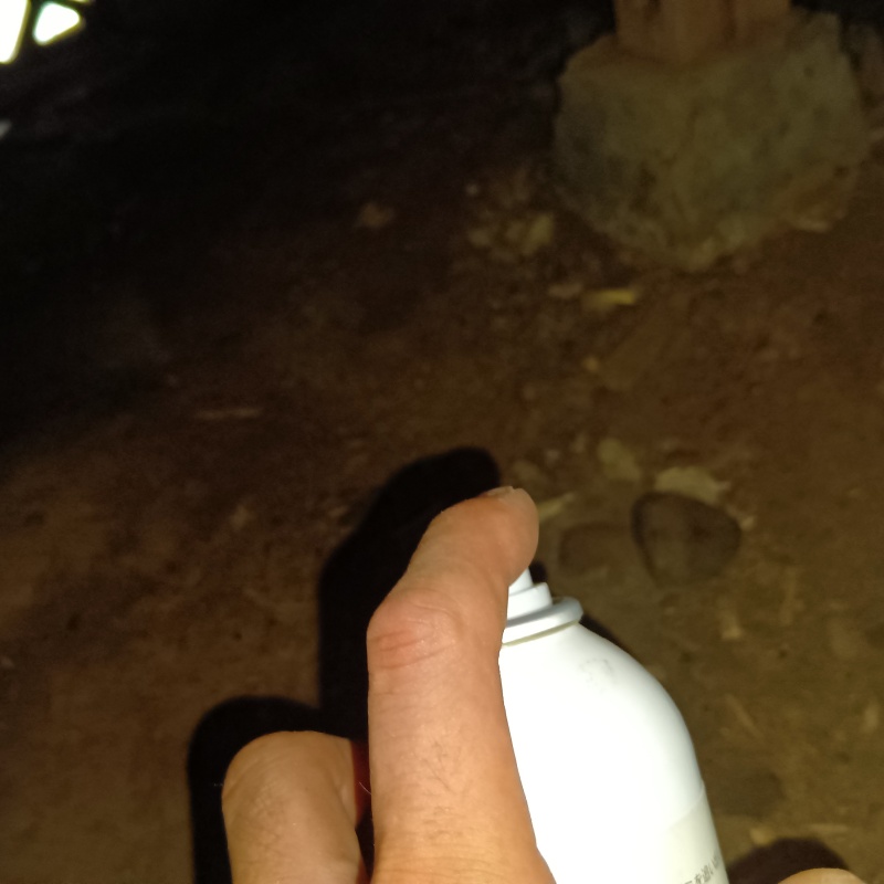 忌避スプレーを散布