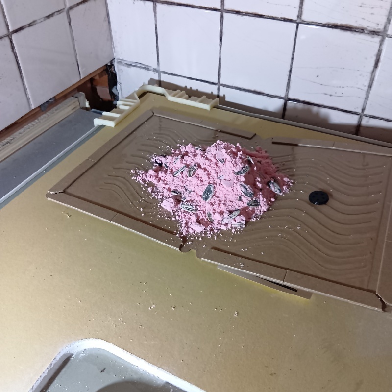 殺鼠剤と粘着シートを設置した様子