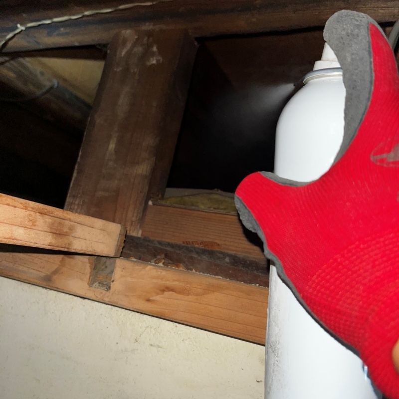 屋根裏に忌避スプレーを散布