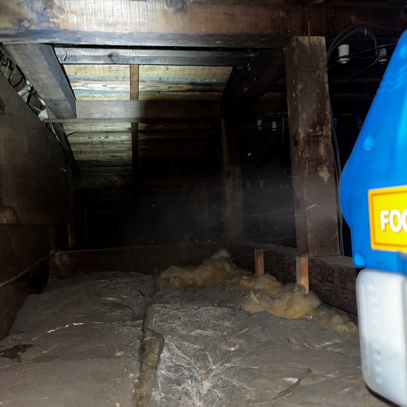 噴霧器で薬剤を散布