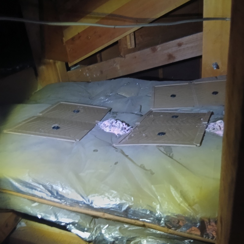 殺鼠剤と粘着シートを設置した様子