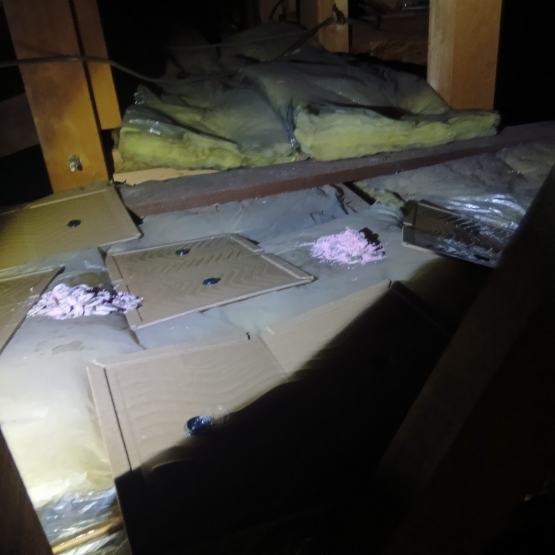 殺鼠剤と粘着シートを設置した様子