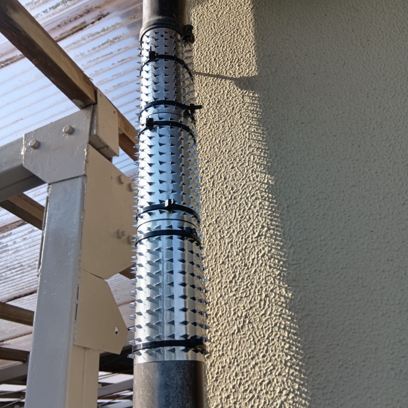 雨どいに忍び返しを設置