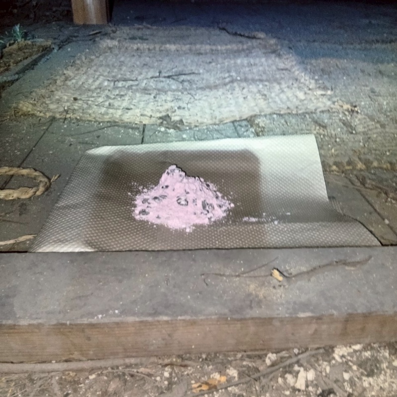 殺鼠剤を設置した様子