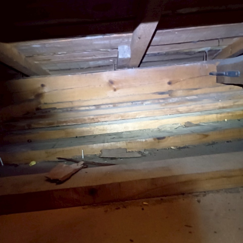 清掃が完了した屋根裏