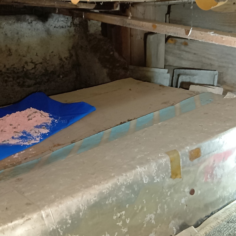 殺鼠剤を設置した様子