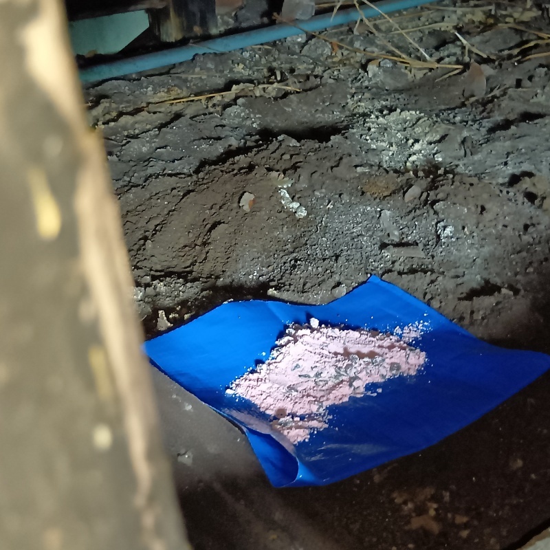 殺鼠剤を設置した様子