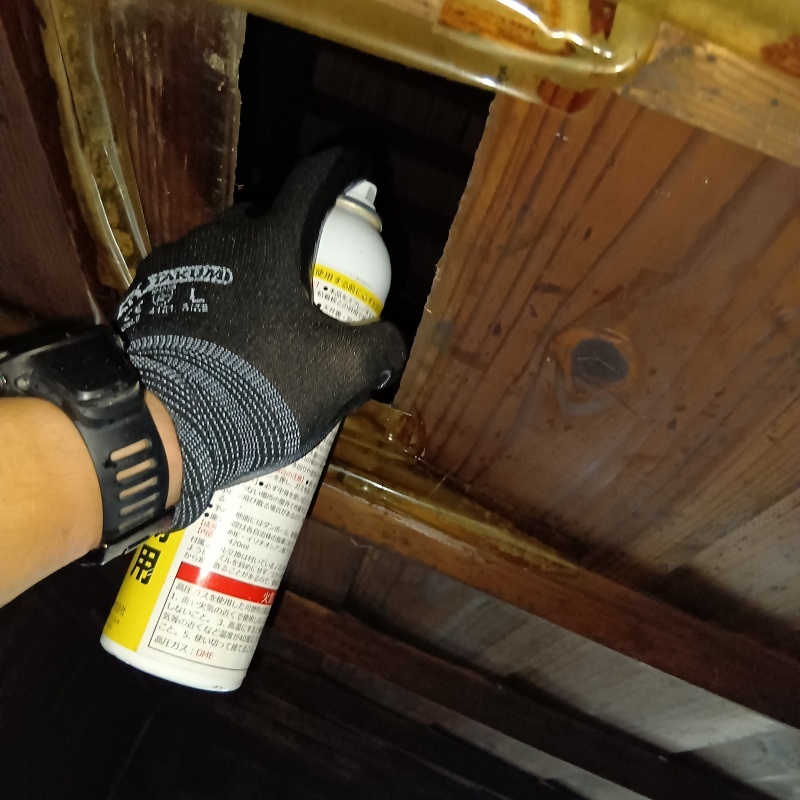 忌避スプレーを散布