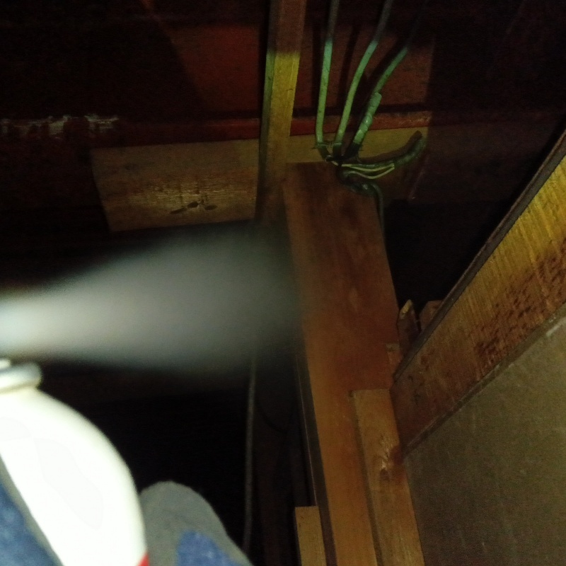 忌避スプレーを散布