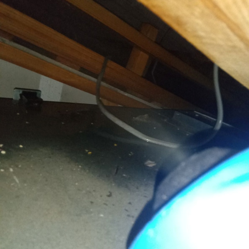 噴霧器で薬剤を散布