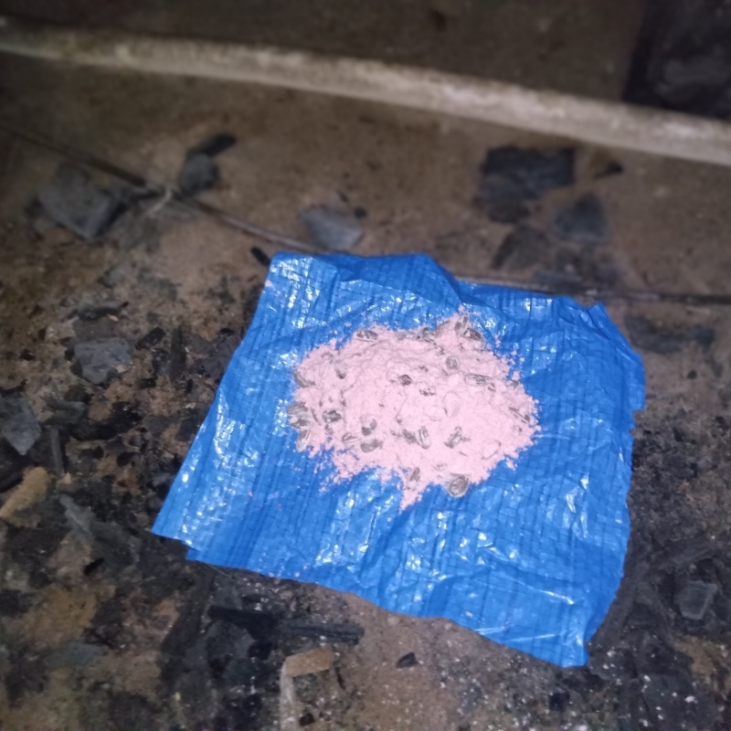 殺鼠剤を設置した様子