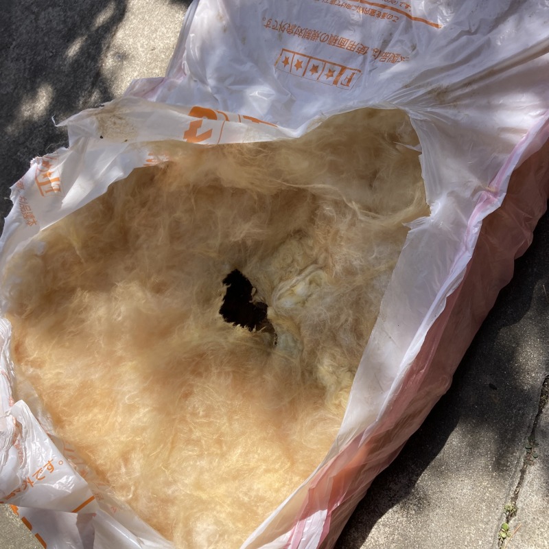 イタチ駆除の施工事例（愛知県一宮市萩原町萩原松田）