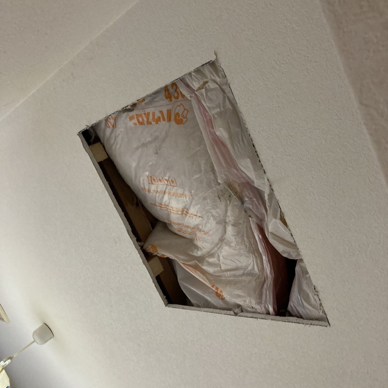 天井板を切り抜いた様子