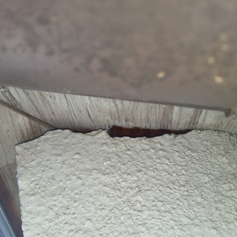 コウモリ駆除の施工事例（埼玉県上尾市平塚）