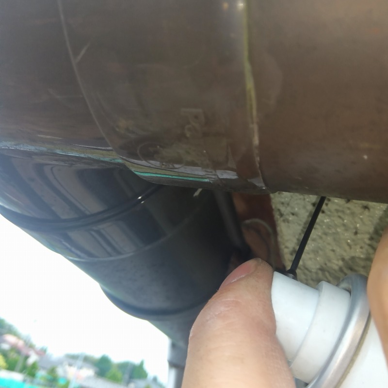 外壁と雨どいのすき間から忌避スプレーを散布