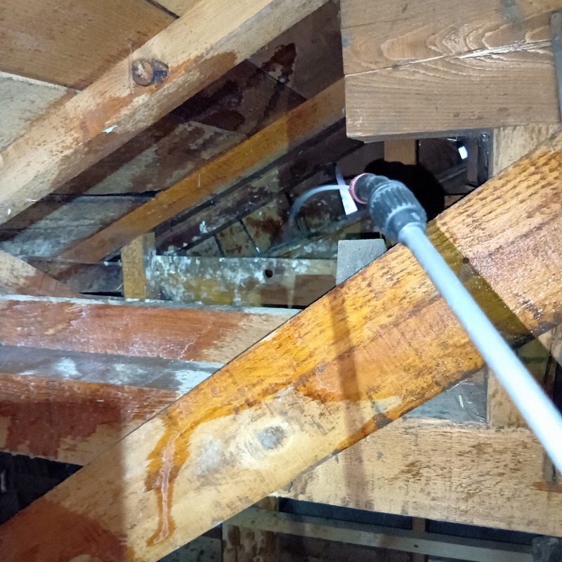 フンで汚れた屋根裏を清掃・除菌