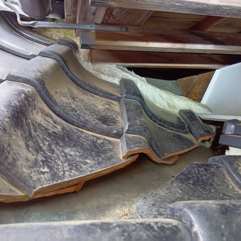 ハクビシン駆除の施工事例（茨城県牛久市柏田町）