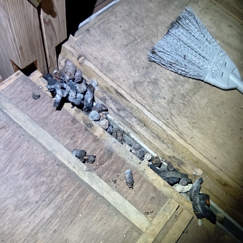 屋根裏に溜まったフン