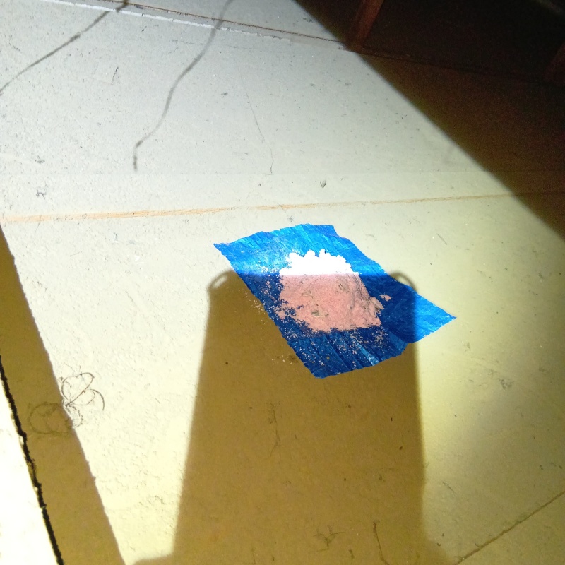 殺鼠剤を設置した様子