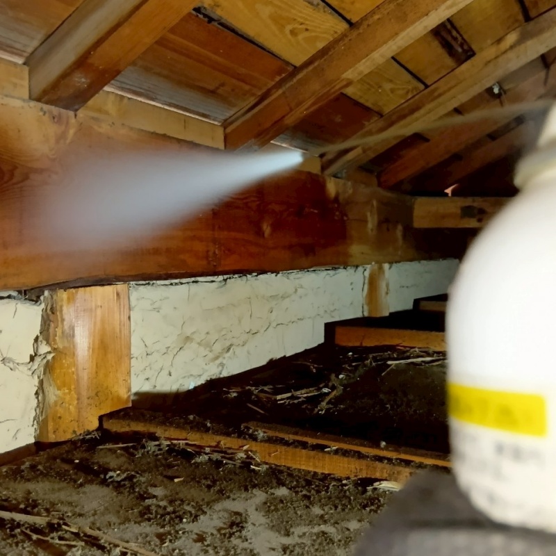 忌避スプレーを散布