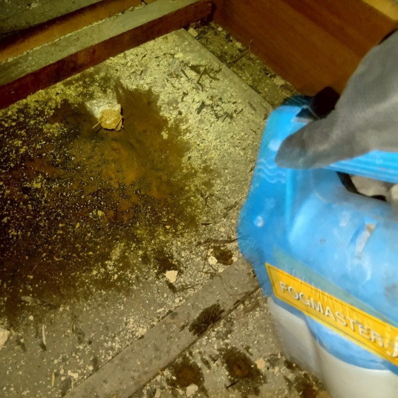 汚れた屋根裏に噴霧器で薬剤を散布