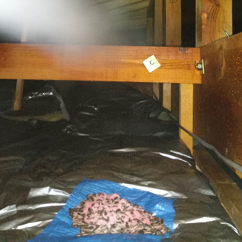 屋根裏に設置した殺鼠剤