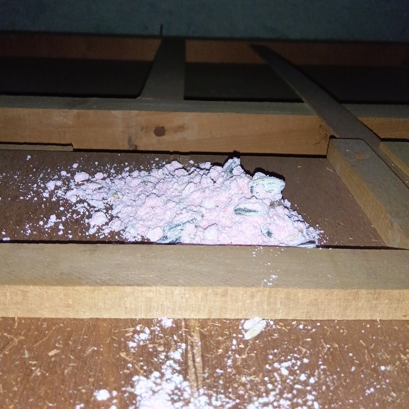 天井裏に設置した殺鼠剤