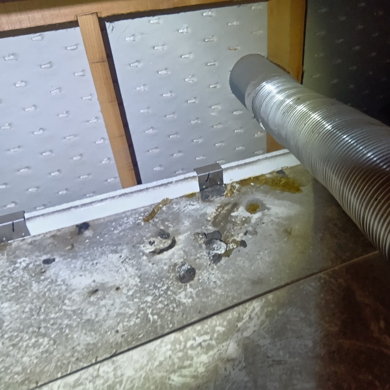 イタチ駆除の施工事例（福井県坂井市丸岡町羽崎）