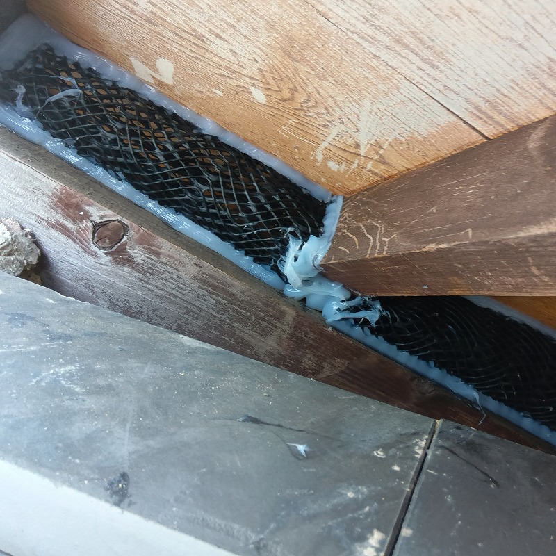 屋根のすき間を金網とパテで封鎖