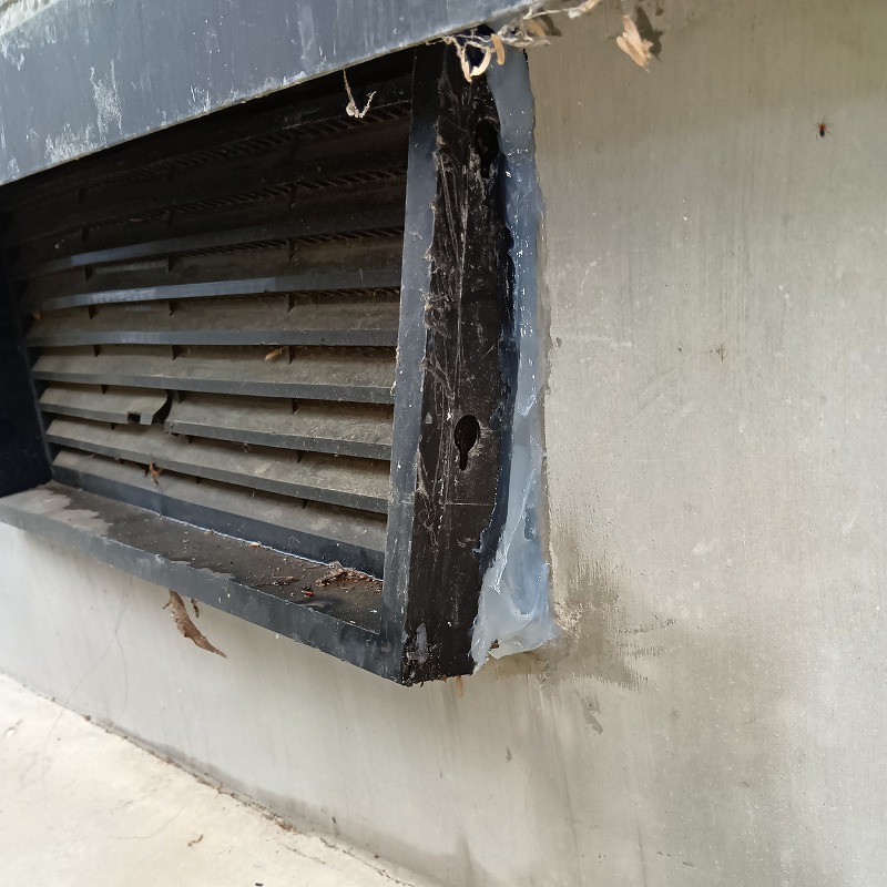 屋根裏に設置した殺鼠剤