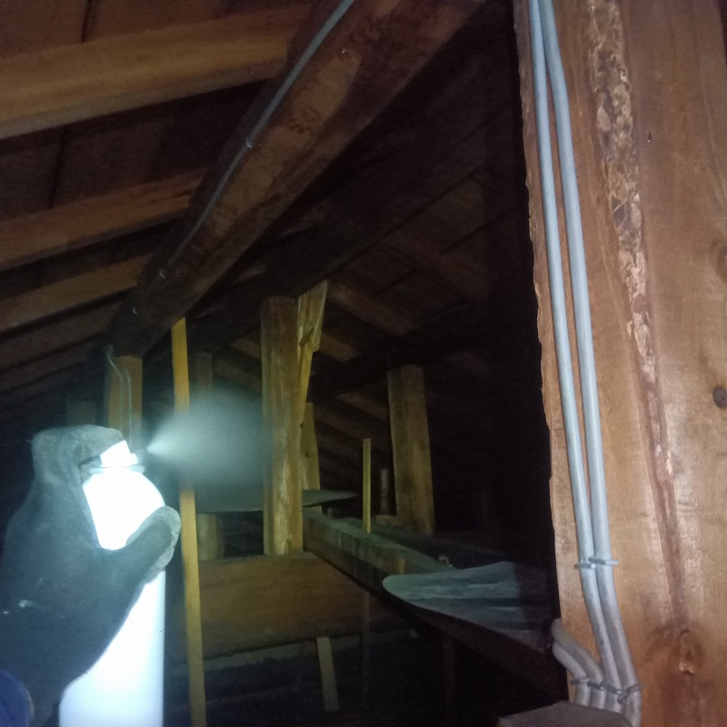 屋根裏に忌避スプレーを散布