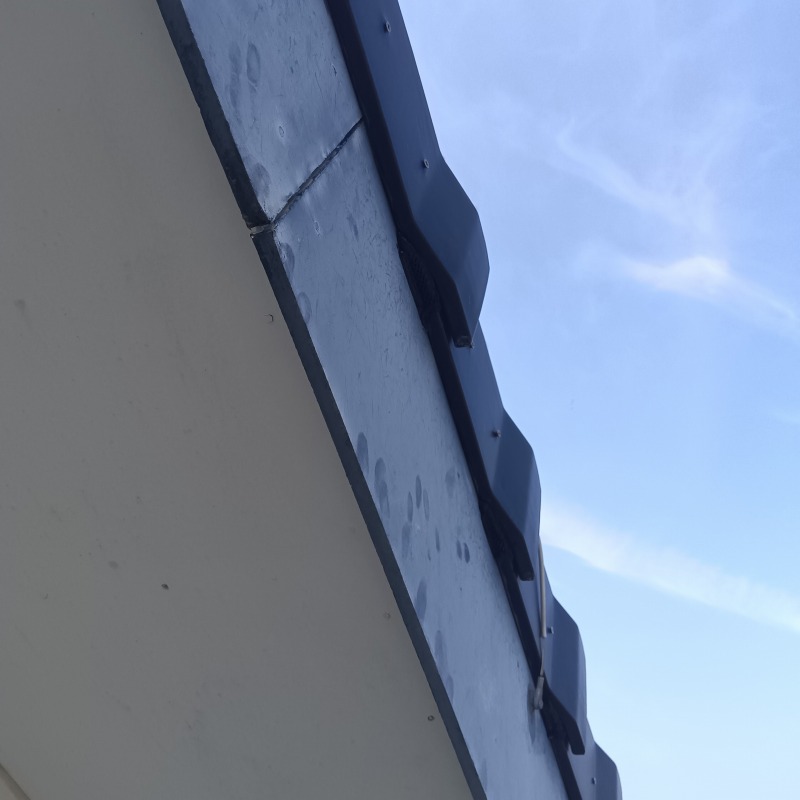 コウモリ駆除の施工事例（静岡県榛原郡吉田町住吉）